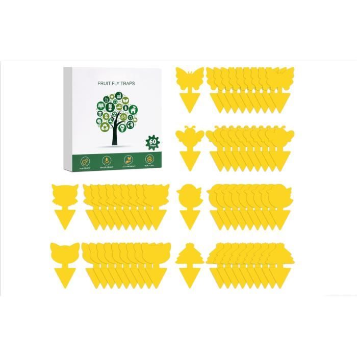 Pièges Bleus Contre Les Thrips : 30 Pièges Adhésifs sans Insecticide – Protection des Plantes d'Intérieur – Attrape-Insectes avec Stickers Bleus – Piège Collant Anti-Mouches – de Inovida
