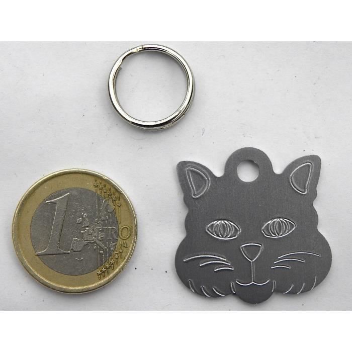 1 MÉDAILLE gravée pour chat argentée