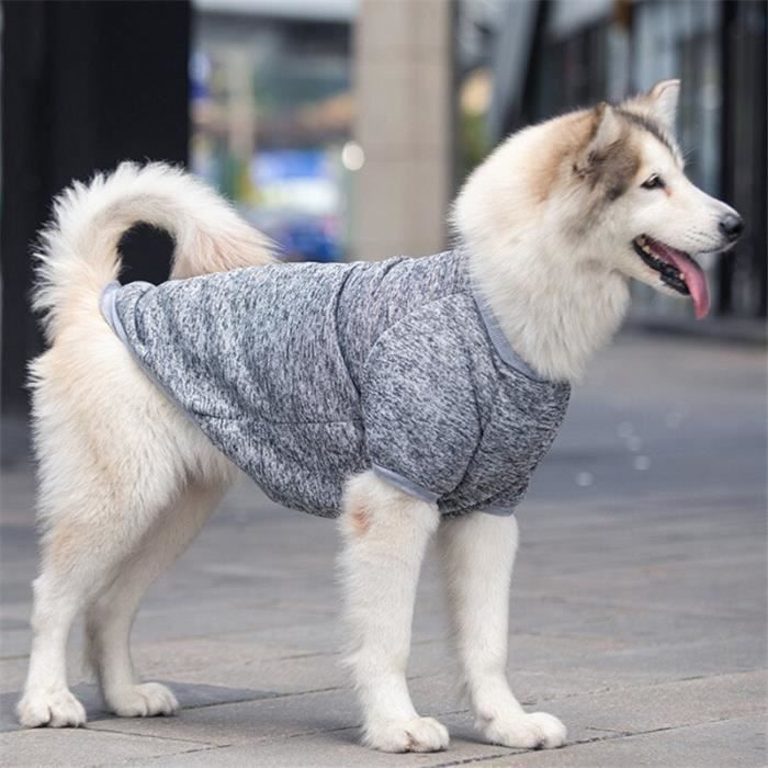 Manteau pour chien labrador online
