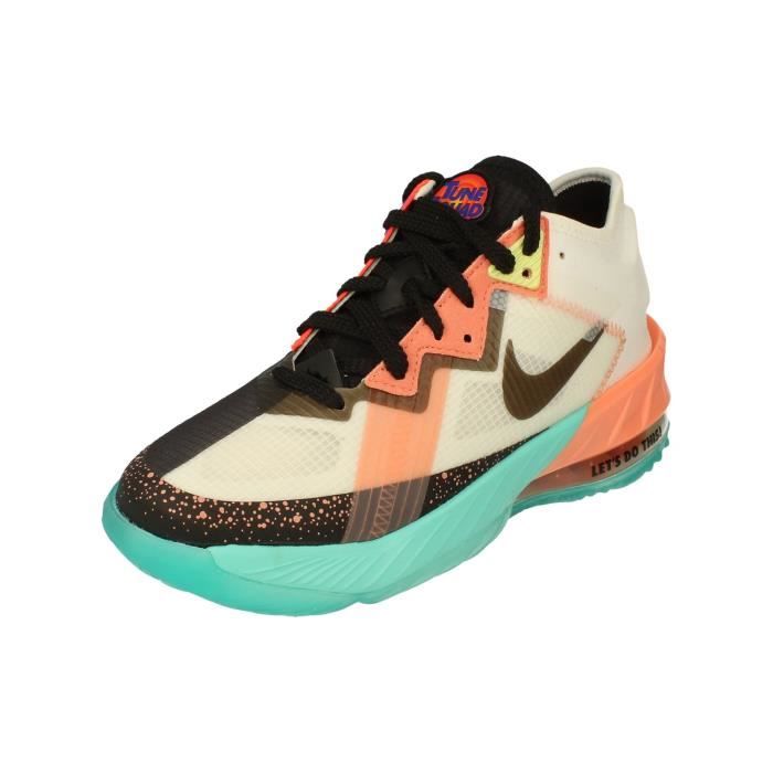 nike lebron trainers