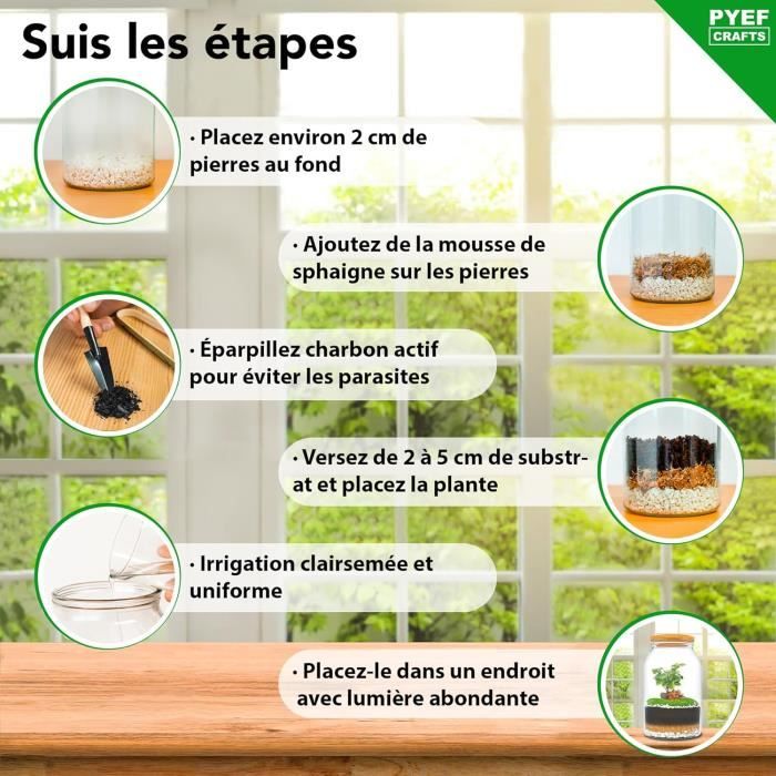 PYEF CRAFTS DIY Kit Terrarium Plante XL avec Verre - Cdiscount Animalerie