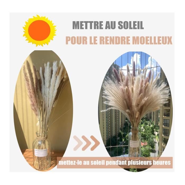 Bouquet de fleurs séchées - Naturelle - Herbe de la Pampa - 80 pièces ...