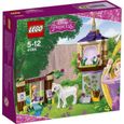 LEGO® Disney Princess™ - Le Jardin de Raiponce - 145 pièces en plastique - A partir de 5 ans-0
