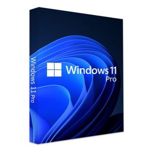 PROFESSIONNEL À TÉLÉCHARGER Windows 11 Pro - clé d'activation - 1 PC