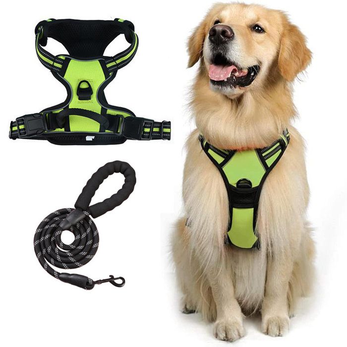 Meilleurs prix pour Laisse pour chien réfléchissante anti-traction avec harnais intégré en polyester verte taille M