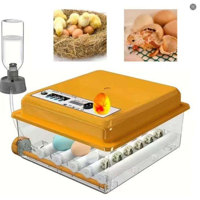 Couveuse Oeuf Automatique de 16 Oeufs avec Contrôle Température Affichage Humidité Contrôle de Température pour Oeuf de Poule Canard