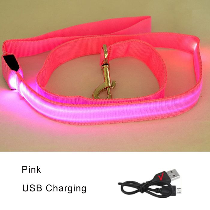 Laisse pour chien lumineuse à LED - Phoesky - 120x2 5 cm - Rose - Chargement USB - Sangle en nylon - Clignotante