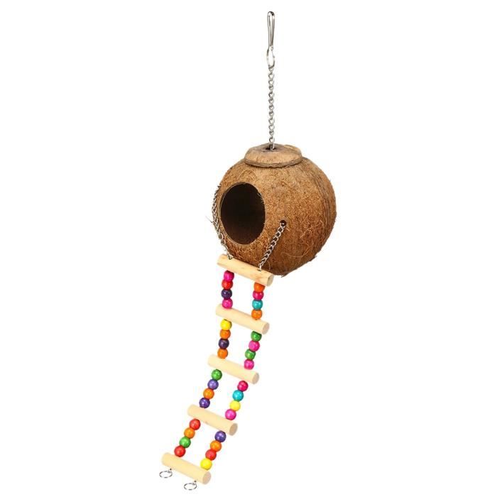 Éplucheuse de noix de coco électrique, automatique, Machine à éplucher