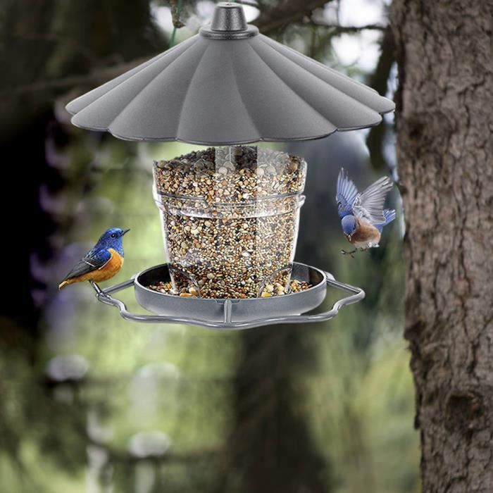 Meilleurs prix pour Mangeoire télescopique pour oiseaux - OMABETA - Panorama Gazebo - Gris - Extérieur