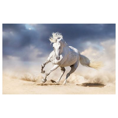 Affiche course de chevaux - France