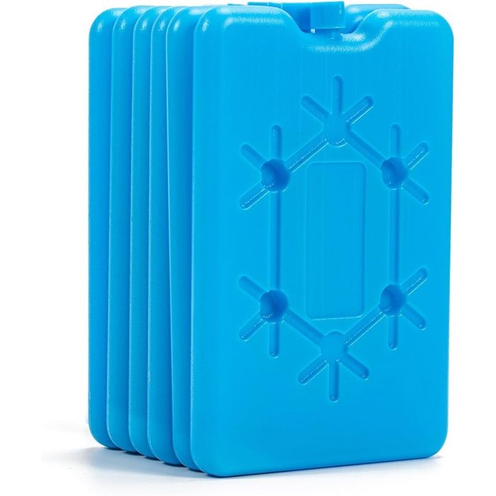 Pain De Glace pour Sac Isotherme6 Pièces Ice Pack pour Sac à Lunch Pack Réfrigérant Ultra-Fin De 200 ML pour CampingPique-Nique