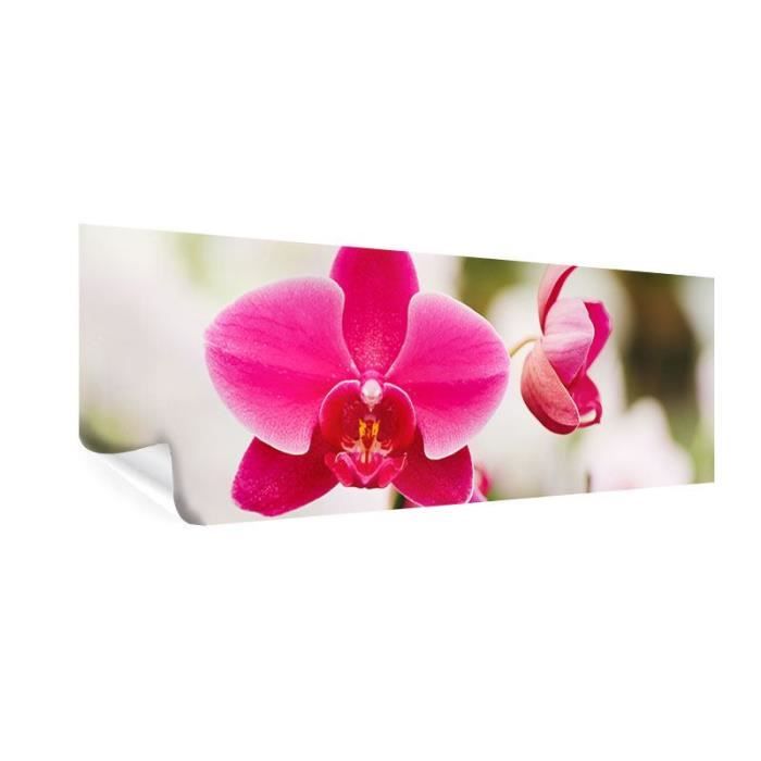 Papier Peint Photo Mural XXL - Orchidées Et Papillons - 180 X 120 Cm - Autocollant Ou Intissé - Muralo