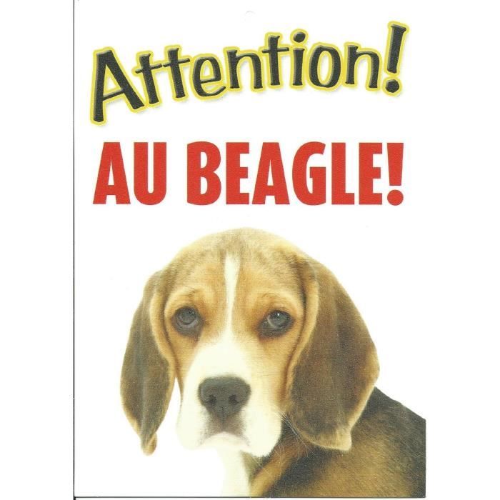 Plaque en aluminium Attention au chien Beagle