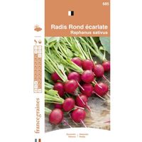 France Graine - Radis Rond Ecarlate