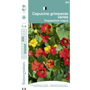 GRAINES France Graines - Capucine Grimpante Mix