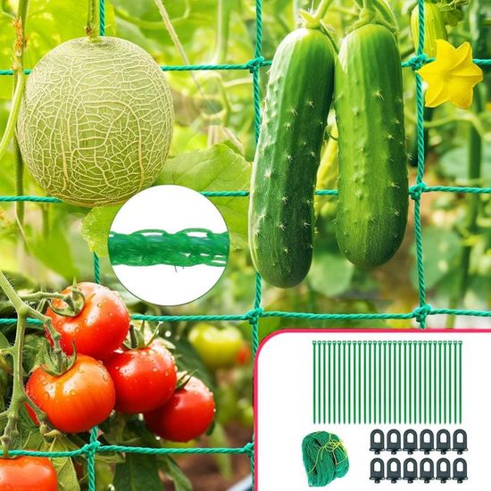 Konekel Filet pour Plantes grimpantes, 2 m x 5 m, pour concombres et Plantes grimpantes, Filet de Jardin avec Mailles de 10 cm, Filet pour tomates avec 50 Attaches pour Plantes pour Konekel Filet pour Plantes grimpantes, 2 m x 5 m, pour concombres et Plantes grimpantes, Filet de Jardin avec Mailles de 10 cm, Filet pour tomates avec 50 Attaches pour Plantes pour