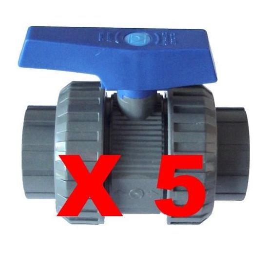 Lot 2 Vannes PVC 63mm INTERPLAST - Double Union Démontable, PN16, Pour Tuyauterie