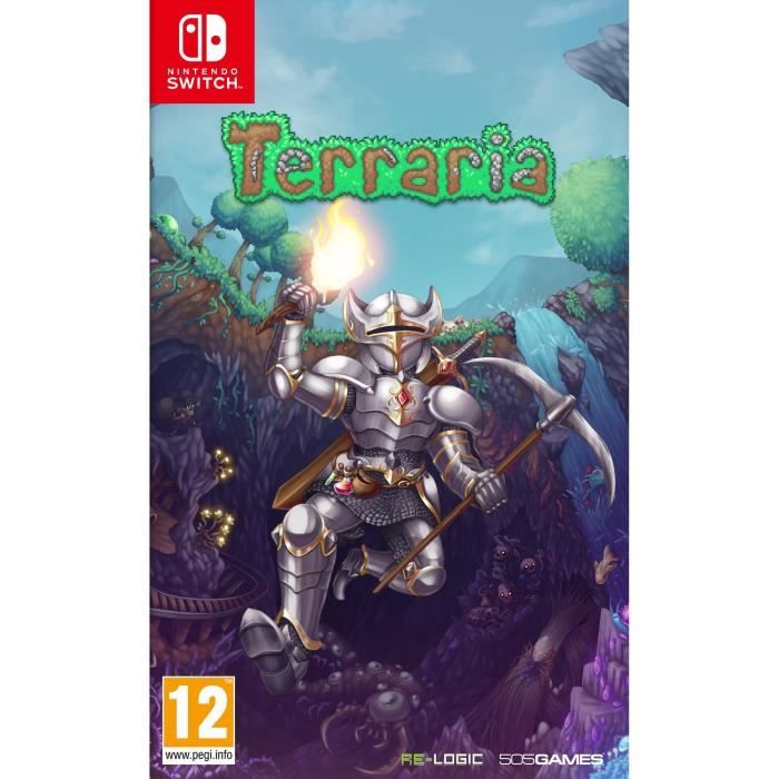 Terraria Jeu Switch