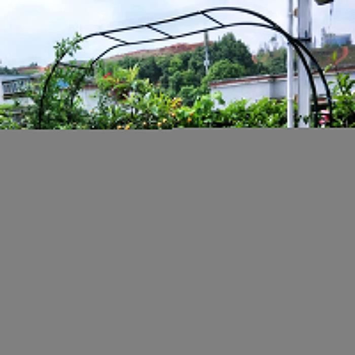 Arche Rosier Jardin en Métal,Treillis D'arche De Jardin Tonnelles,pour Plantes Grimpantes,Pergola De Gloriette Fer Forge,Résist 825
