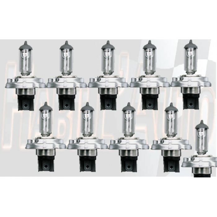 10 ampoules 12V H4 60W/55W P45T