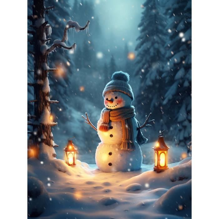 Bimkole 5D DIY Diamond Painting Kits Bonhomme De Neige