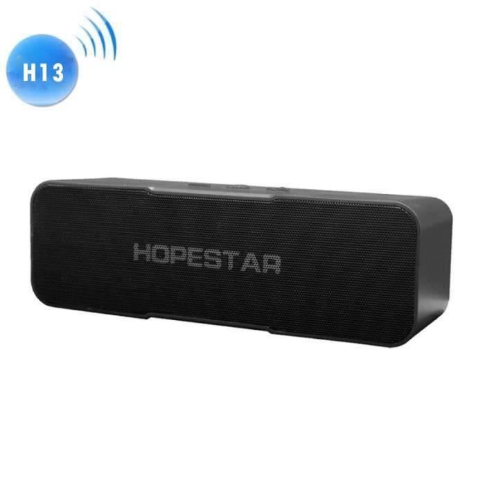 Carte Micro SD Micro USB Haut-Parleur sans Fil Portable Compact avec Radio Beast SUBTOR Haut-Parleur Bluetooth Portable 60 W entrée USB Bluetooth 10 mètres de Distance. 