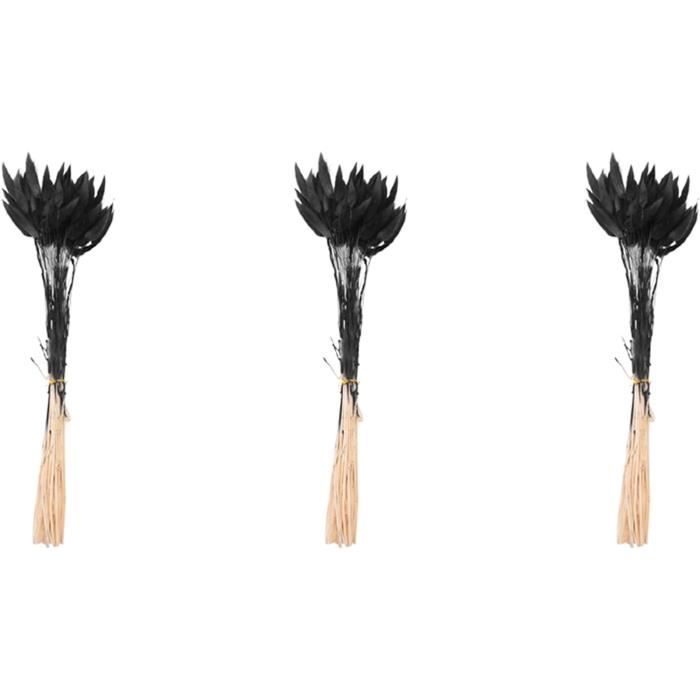 Wresetly 60Pcs Fleurs SéChéEs d'automne Queues de Lapin Fleurs SéChéEs Lagurus Ovatus Herbe de Queue de Lapin pour Fleurs SéChéEs (Noir