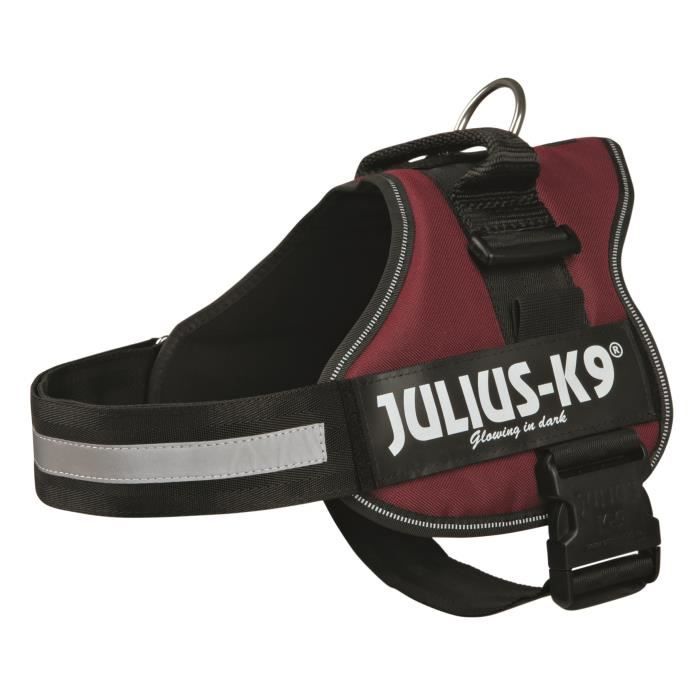 Harnais Power Julius-K9 - 3 - XL : 82-118 cm-50 mm - Bordeaux - Pour chien