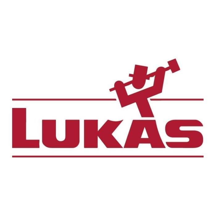 Rullo A Lamelle LUKAS NK 80x30 Mm Grana 80 - Per Levigatura, Sgrassatura, Sbavatura Acciaio, Ghisa, Legno, Plastica