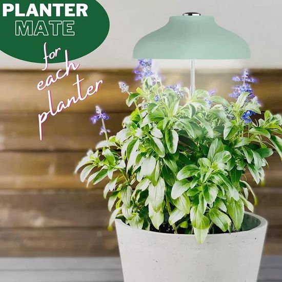 amzWOW lampe pour plantes d'intérieur Egle - Lampe horticole à led
