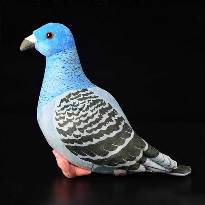 Gris - Peluche pigeons gris et blanc, Jouet de simulation, Mignon, Rock,  Petite lettre, Electrolux, Oiseau, C - Cdiscount Jeux - Jouets