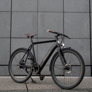 VÉLO ASSISTANCE ÉLEC Vélo électrique Alérion - matt black - L/XL - Noir