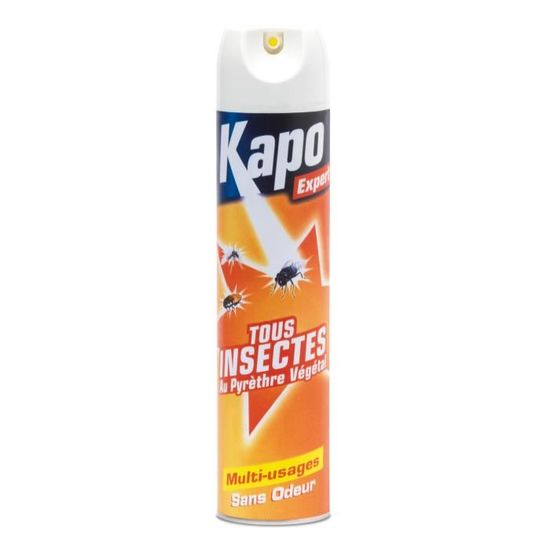 K.pro Expert Aérosol Tous Insectes 500ml - Action Rapide Et Longue Durée