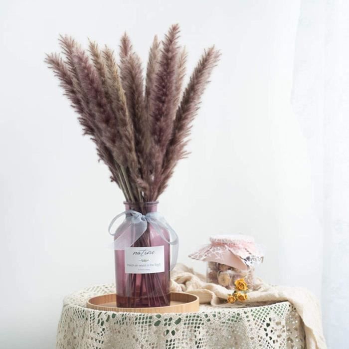 Fleurs séchées Naturelles Plantes artificielles Branche Pampa Herbe Phragmites Fausse Fleur Mariage décorati285
