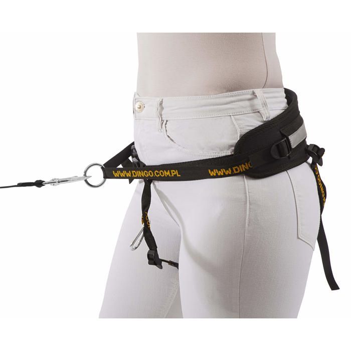 Materiel canicross Dingo - 12780-2