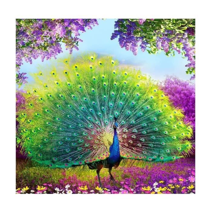 Kit Peinture Diamant 5D DIY – Motif Paon Rond Florent Pagny – 40 X 50 Cm – Diamond Painting Avec Perles Supplémentaires