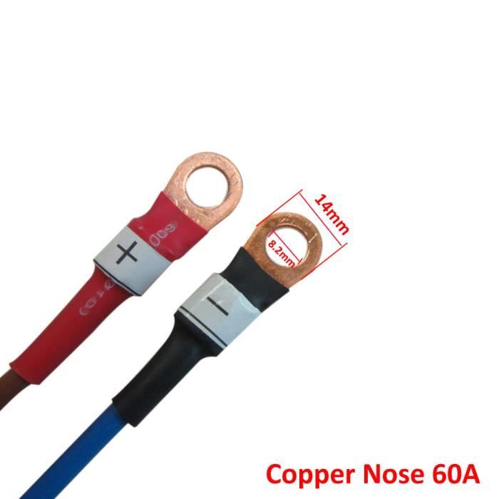 Chargeur de batterie,Chargeur de batterie LiFePO4 16S LFP,pour vélo