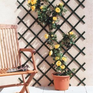 Treillis en plastique - INTERMAS GARDENING - TRELLIFLEX - Blanc - Plastique - 1 x 2 mètres