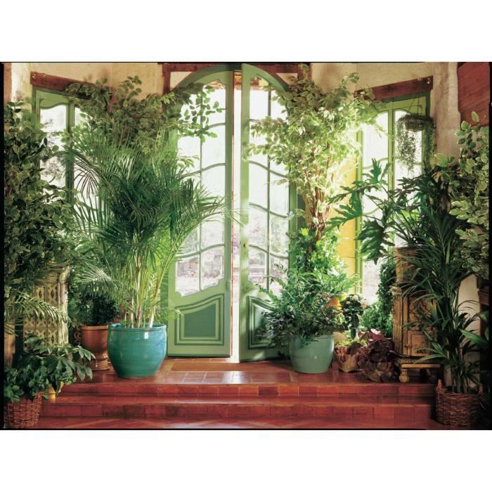 Papier Peint Photo INTISSÉ-JARDIN D'HIVER-(22300)-500x280cm-10-lés-Mural Poster Géant XXL-Screen-Jungle Terrace Marches de tuiles