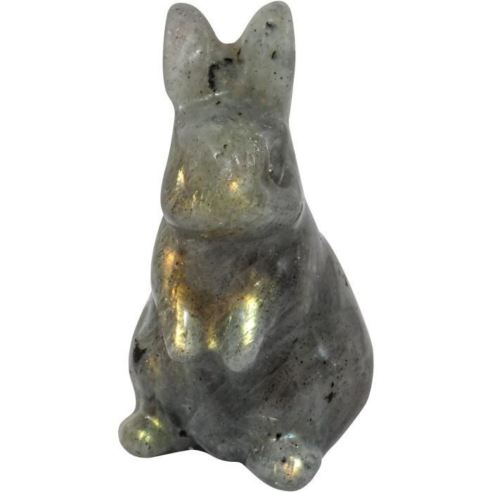 Pierre Lapin et livre - France