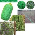 Treillis,Filet en treillis pour plantes de jardin 1.67x10M-5M,filet à pois pour haricots,Fruits,légumes,plantes - Type 1.67 5M-1