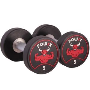 Affiche d/´entra/înement PDF POWRX Ensemble de Poids en Fonte 2,5-20 kg Id/éal pour Les halt/ères et Les halt/ères avec Bras de 30 mm