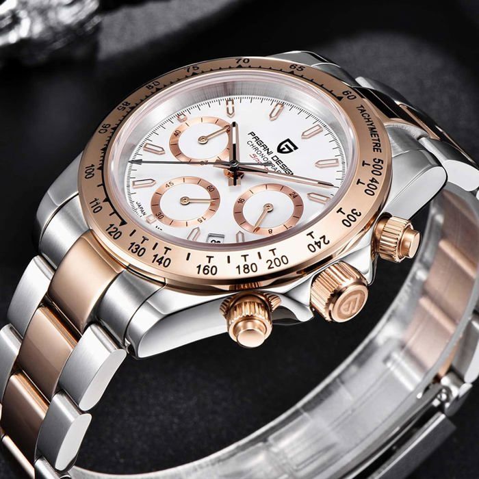 Montre Homme Louis Richard Alnwick - Mouvement Japonais Quartz - Bracelet Silicone - Neuve