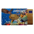 Etui rigide 1 carte couleur motif océan Color Pop - France