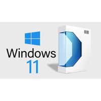 Windows 11 Pro Professionnel