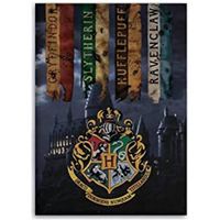 Couverture Polaire Harry Potter - Noir - 100 x 140 cm