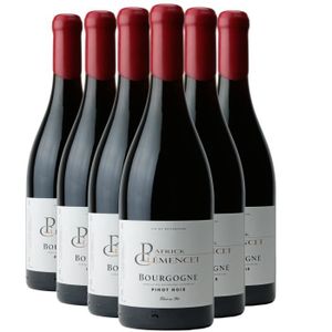 VIN ROUGE Bourgogne Pinot Noir Fûts de Chêne Rouge 2022 - Lot de 6x75cl - Patrick Clémencet - Vin AOC Rouge de Bourgogne