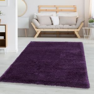 Violet et gris tapis design moderne tapis chambre à coucher salon tapis petit large xl