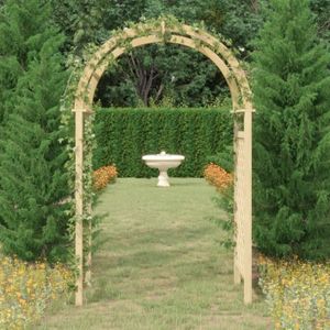 ARCHE Arche de jardin en bois de pin massif imprégné - G