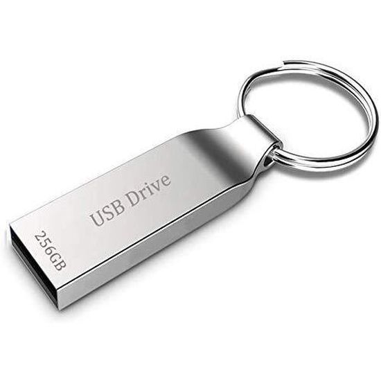 Maxineer Clé USB 256 GO Clef USB Pendrive Métal Mémoire Stick Imperméable USB Flash Drive avec